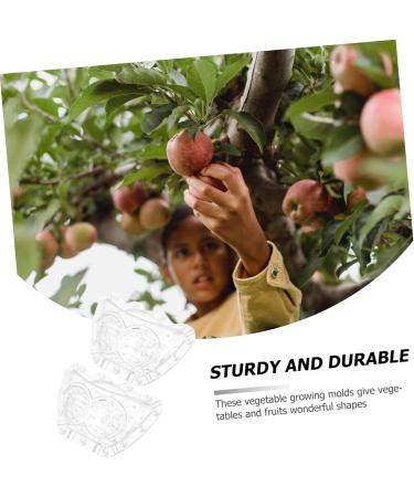 Toddmomy 4 Pcs Ingot Shaped Mold Vegetables Peach Growing Form Mold Pear Gardening Supplies Fruit Stereotypes - Buy Online on GoSupps.com