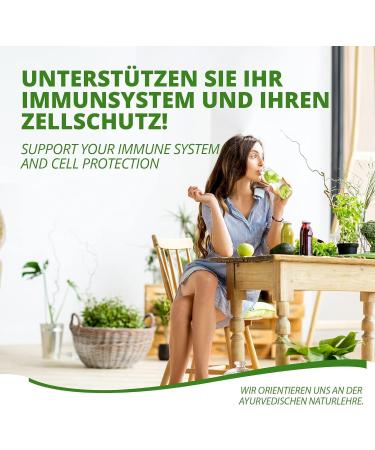 Astragalus in Capsule-1600mg of Root Powder with 112mg of Polysaccharides-Monthly Package-Immune System Anti-Aging Cardiovascular System-Vegan and Gluten Free-by MoriVeda 3x90 Pieces - Buy Online on GoSupps.com