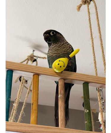 WACURRENTHYD 3PCS- Colourful Mini Ball Sand Hammer Parrot Rattle Shaker Musical Sound Toy Intelligent Sand Hammer Toys for Parakeets Canaries Cockatiels Conure Lovebirds(Random Color) - Buy Online on GoSupps.com