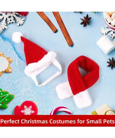 Buy Festive Cat & Dog Christmas Costumes | Adorable Hats & Scarves for Small Pets - Buy Online on GoSupps.com