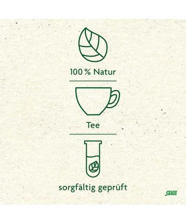  SALUS Pharma GmbH Lemon Balm Teapot - Pack of 15 - Buy Online on GoSupps.com