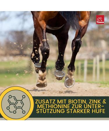 Biotin + Zinc Horse 1Kg - Mineral feed in case of hoof problems biotin & Zinc I Hoof treatment with methionine Zinc b - Buy Online on GoSupps.com