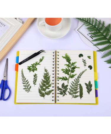 Dried Pressed Leaves and Flowers Assorted Greenery for Resin Art - 42 Pieces, 7 Styles - Buy Online on GoSupps.com