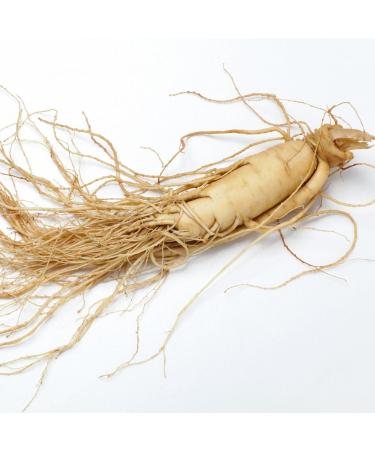 Menopause Tea with Red Clover - Herbal Relief for Women | 42 Days of Menopause Support | Night Sweats & Balance with Cinnamon & Ginkgo Leaf - Buy Online on GoSupps.com