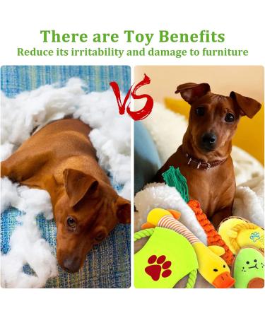 Jotol Dog Toy Set - 20PCs 100% Natural Cotton Interactive Toys for Dental Care | Best Pet Rope Toys for Small & Medium Dogs - Buy Online on GoSupps.com
