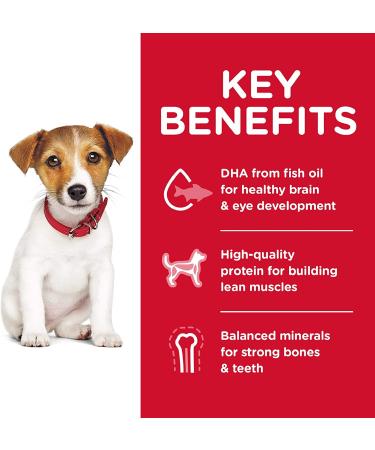 Hill's Science Diet Puppy Small Bites Chicken Meal & Barley Recipe 4.5lb - Pack of 1 - Buy Online on GoSupps.com