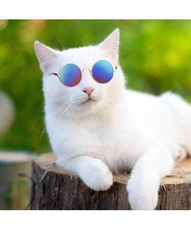 Glasses for Cats Pet Sunglasses Cute and Funny Pet Sunglasses Dog Cat Cosplay Party Costume Photo Props (Blue) - Buy Online on GoSupps.com