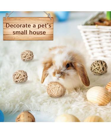 Small Animal Chew Ball Toy Set - Ideal for Rabbits, Guinea Pigs, Chinchillas - Teeth Grinding & Play - 15 Pieces - Buy Online on GoSupps.com