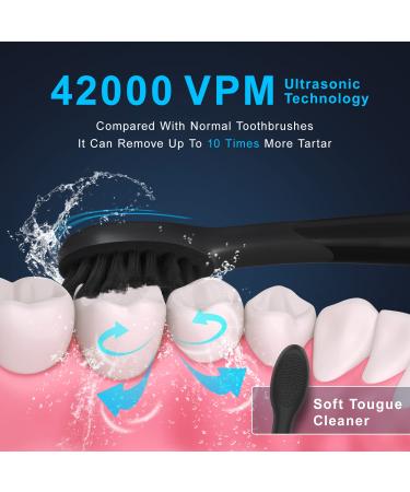 SEAGO Electric Toothbrush | 42,000 VPM Motor | 5 Modes | 2 Dupont Brush Heads | Fast Charge | Whitening Sonic Toothbrush for Adults & Kids - Blue - Buy Online on GoSupps.com