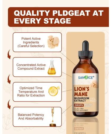 SANSICE Lion Mane Supplement Organic Lion's Mane Liquid Drops for Focus Hericium erinaceus Mushroom Extract Tincture for Brain Immune Memory Clarity Alcohol Free Non-GMO 4 Fl oz - Buy Online on GoSupps.com