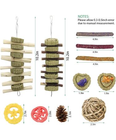 14Pcs Bunny Enrichment Toys Natural Hamster Chew Sticks Molar Guinea Pig Chew Ball Different Flavors Grass Cakes Teeth Grinding Chinchilla Treats for Syrian Hamster Rabbit Gerbil(H02) - Buy Online on GoSupps.com