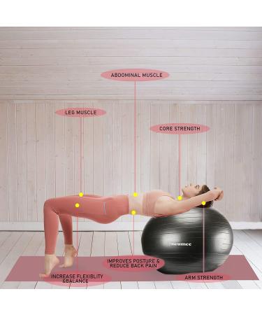NEUMEE Exercise Ball Chair with Resistance Bands - Large 65cm Black Yoga Ball Office Chair for Home Gym - Fitness Workout Ball with Stability Base - Buy Online on GoSupps.com