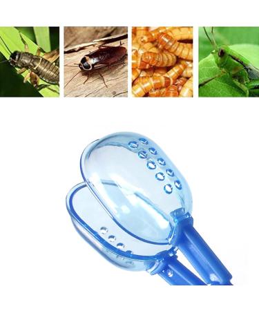 Supkeyer 3in1 Feeding Tool Reptile Feeding Tongs Cricket Clamp Bug Scooper Cleaning Supplies Scooper+ 2x Tweezers for Reptile Hedgehog Hamsters Guinea Pig Lizard Spider Bearded Dragon (Blue) - Buy Online on GoSupps.com