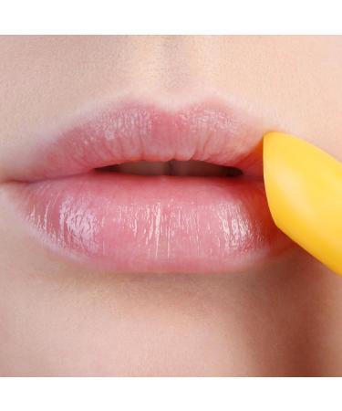 BELWEDER - Nourishing Lip Balm with Sea Buckthorn Oil and Sweet Orange Oil - Protective and Antioxidant - Lip Regeneration - Transparent Balm for Men and Women - Buy Online on GoSupps.com