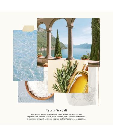 Thymes Hand Wash - Hydrating Moisturizing Soap with Moroccan Rosemary Sage & Amalfi Lemon - 9 fl oz Pump Bottle - Buy Online on GoSupps.com
