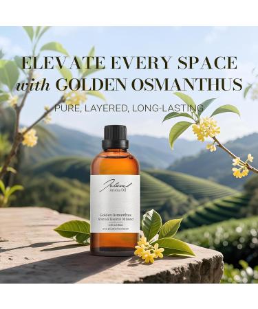 JCLOUD Golden Osmanthus Hotel Diffuser Oil Luxury Diffuser Oils Scents for Home Natural Essential Oils for Cold-Air & Ultrasonic Diffuser Aromatherapy Long Lasting 3.38 Fl Oz 100mL - Buy Online on GoSupps.com