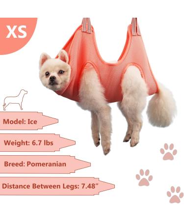 Daizysight Dog Care H ngat Set - XS Hanging Harness for Small Dogs & Cats Nail Trims & Pet Claw Care - Buy Online on GoSupps.com