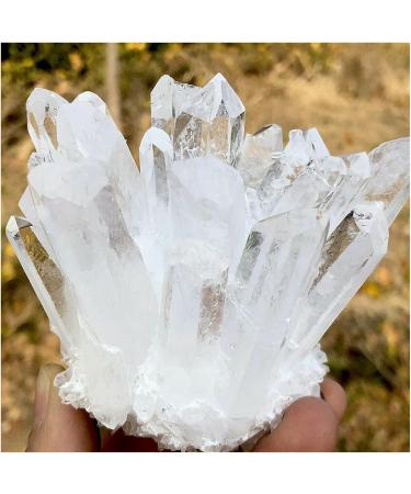 Natural Crystal Rough Crystal Cluster 300g-700g Natural Rare White Quartz Crystal Cluster Specimen (Size : 400g-500g) - Buy Online on GoSupps.com