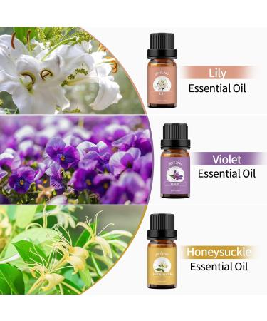 Violet Lily Honeysuckle Essential Oils Set 100% Pure Premium Grade Natural Fragrance Oil Gift kit for Diffusers Home Care Candle Making Fragrance Aromatherapy Humidifiers Violet + Lily + Honeysuckle 10.00 ml (Pack of 3) - Buy Online on GoSupps.com