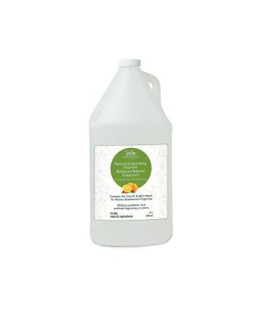 Green Cricket Natural Evaporating Cleanser 4L 4 l (Pack of 1)