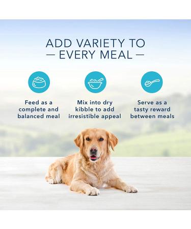 Blue Buffalo Homestyle Recipes Variety Pack Beef & Chicken Wet Dog Food 12.5oz (8 Pack) - Buy Online on GoSupps.com