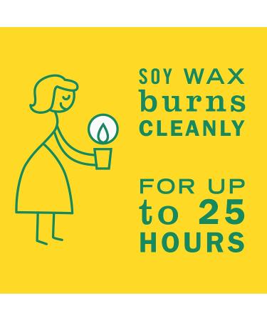 Mrs. Meyer's Clean Day Scented Soy Aromatherapy Candle 25 Hour Burn Time Made with Soy Wax and Essential Oils Honeysuckle Scent 140 gram Candle Jar - Buy Online on GoSupps.com