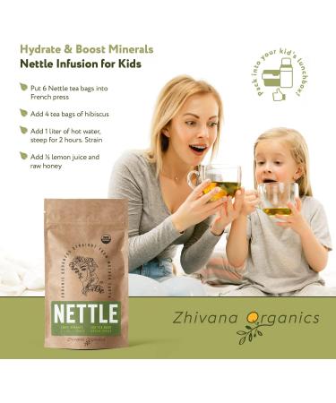 Organic Stinging Nettle Tea - 100 Bags - Joint & Blood Sugar Support, Allergy Relief - Urtica Tea - Buy Online on GoSupps.com