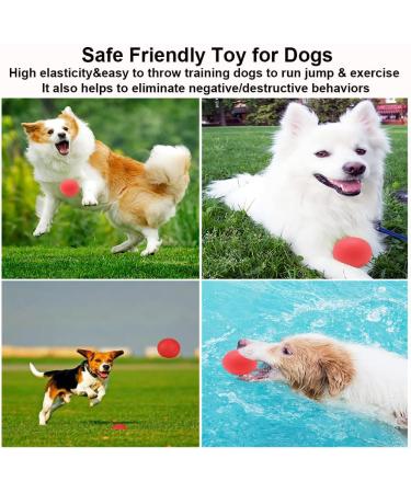 Panlom 3 Pack Dog Balls Indestructible - 100% Natural Rubber Dog Ball Non-Toxic Tough Toy for Small Medium Large Dog Medium 5.5cm/2.2inch - Buy Online on GoSupps.com