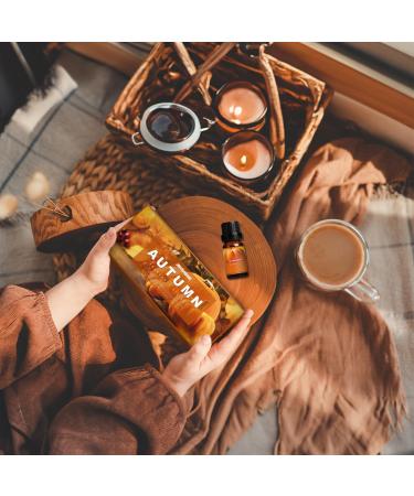 Autumn Fragrance Oil Set - ARVIDSSON Essential Oils for Diffuser & Candle Making | Pumpkin Spice Cinnamon Spiced Cider & More - Buy Online on GoSupps.com