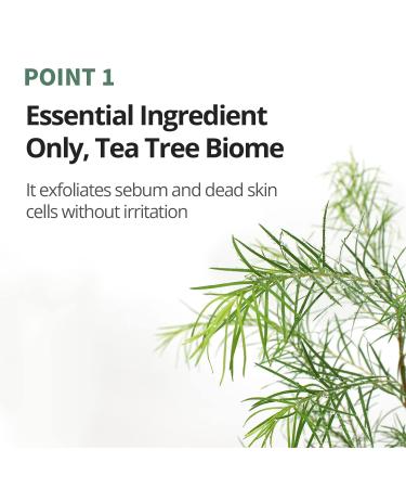Farmstay Tea Tree Biome Calming Eye Cream 1.69 Fl. Oz - Korean Anti-Wrinkle Dark Circle Treatment - Buy Online on GoSupps.com