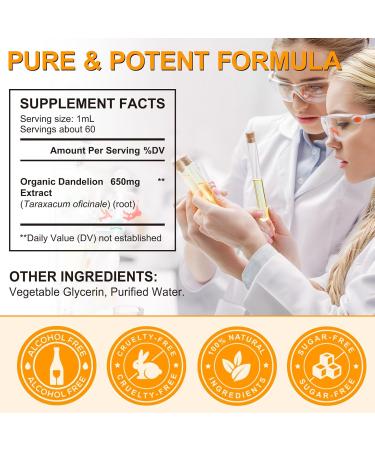 PFDGRVI Dandelion Root Extract Drops Liquid Organic Dandelion Root Supplement for Liver Health | Vegan | Gluten Free | Sugar Free | Non-GMO (1) - Buy Online on GoSupps.com
