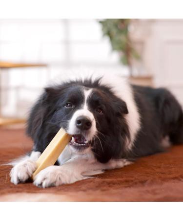 Natural Cheese Chewing Bones for Dogs - Durable Tasty XL 3-Pack | Long-Lasting Chews - Buy Online on GoSupps.com