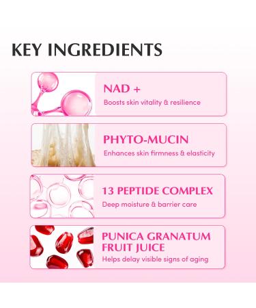 EQQUALBERRY NAD+ Peptide Boosting Cream Collagen-Enhancing Moisturizer for Skin Elasticity Healthy Aging&Wrinkle Care Korean Skincare Anti-Aging Face Cream with Peptides (1.69 fl.oz / 50ml) - Buy Online on GoSupps.com