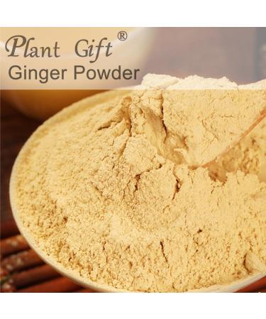 100% Natural Pure Apple Powder 100g/3.52oz pour smoothies shakes p tisseries et boissons th s jus de fruits | sans conservateurs sans sucre ajout  - Buy Online on GoSupps.com