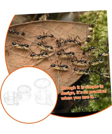 SEWOART 2pcs Ant Water Feeder Ants Ant Nest Water Feeder Ant Liquid Feeder Pet Waterer Transparent Acrylic - Buy Online on GoSupps.com