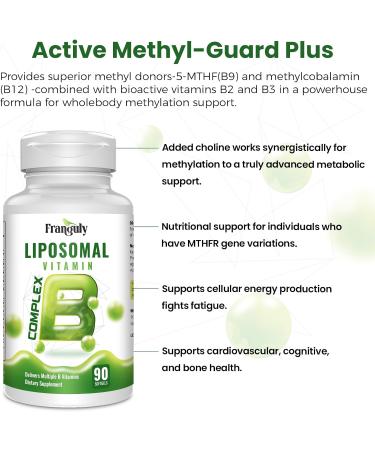 Liposomal B Complex for High Absorption Methylated B12 L-Methyfolate(5-MTHF ) Full Active B Vitamins with Choline Inositol-Energy Metabolism Brain & Heart Support Vegan Non-GMO 3 Month Supply - Buy Online on GoSupps.com