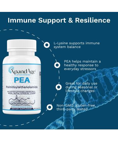 XpandAge Life Sciences Palmitoylethanolamide(micronized Pea) with Luteolin Nadh Rutin and Lysine for Immunity Nervous* System* Support and Overall Wellness.60 Vegetable Capsules Made in USA. - Buy Online on GoSupps.com