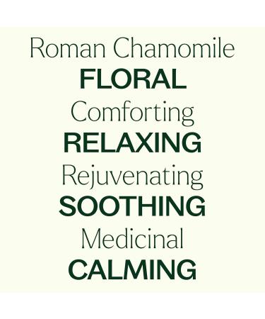 Plant Therapy Roman Chamomile Essential Oil 10 mL (1/3 oz) 100% Pure Undiluted Great for Essential Oil Diffusers Promotes Restful Sleep Supports Healthy Skin - Buy Online on GoSupps.com