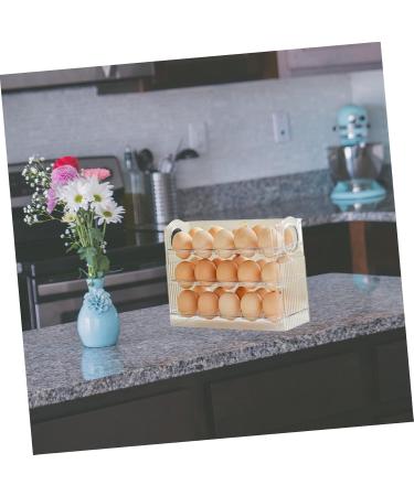 PRETYZOOM Egg Storage Box Eggs Egg Holder for Fridge Egg Container for Refrigerator Egg Tray Egg Box Dedicated 25.2X19.5CM As Shown - Buy Online on GoSupps.com
