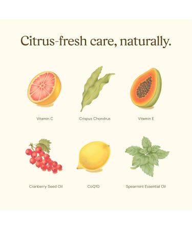 Revitin Toothpaste | Fluoride-Free Prebiotic Mint Tooth Gel | No SLS Gluten Free Dye Free GMO Free No Sweeteners | Non-Toxic Kid Approved Mint 3.4 Ounce (Pack of 1) - Buy Online on GoSupps.com