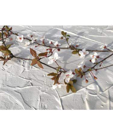 Korres Nourishing Almond Oil & Shea Butter Hand Cream 75ml - Buy Online on GoSupps.com