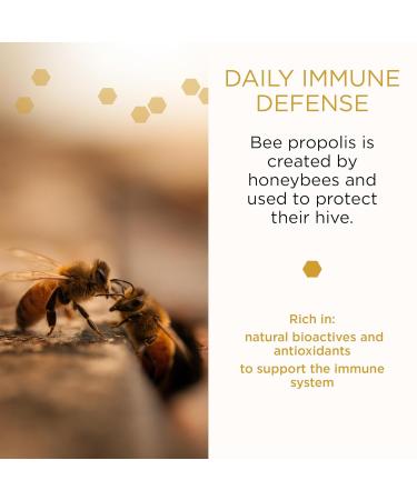 Mount Somers Propolis Oral Spray UMF15+ Manuka Honey Clove & Peppermint Breath Freshener & Oral Comfort Support Travel Size 1 Fl Oz - Buy Online on GoSupps.com