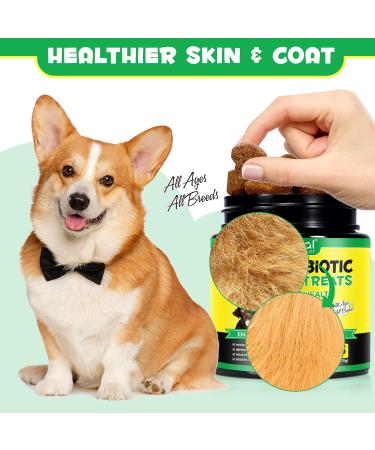 Oimmal Probiotics for Dogs Gut Health - 30pc Digestive Treats for Dog Support Seasonal Allergies Itchy Ears Dog Probiotic Supplement Soft Chews Improve Pet Immune System Dogs - Duck Flavour - Buy Online on GoSupps.com