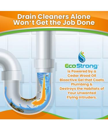 Drain Swarm Gel | Natural Fruit Fly Drain Fly Gnat and Flying Pest Remedy: 64 Doses 256 Fl Oz  - Buy Online on GoSupps.com