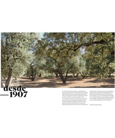 Alfonso Mill Natural soap with olive oil 100 g Molino Alfonso - Buy Online on GoSupps.com