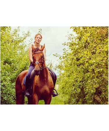 Equine Synergy Ashwagandha Calmer for Horses and Ponies- A Powerful Organic Calming Herb to Help Relax and Focus Your Horse or Pony with Adaptogenic Agents to Support a More Willing Attitude - Buy Online on GoSupps.com