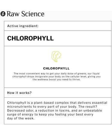 Organic Chlorophyll Liquid Drops for Energy Boost & Immune Support - Made in USA | Fast Absorbing & Detox Supplement - Non GMO Vegan Formula - Buy Online on GoSupps.com