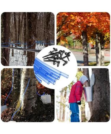 Tubes Maple Syrup Supplies 27.5 * 25 * 5cm Maple Syrup Tree Tapping Kit Maple Syrup Taps Food Grade Non-slip Tapping Kit L-shaped Tree Taps for Syrup Supplies - Buy Online on GoSupps.com