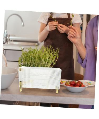 Housoutil Box Plastic Pallet Egg Holder Egg Trays for Deviled Eggs Egg Rack Crisper The Pet Gilded re-usable Transparent 26.5X16X10CM - Buy Online on GoSupps.com