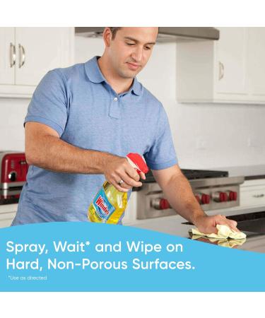 Windex Multi-Surface Cleaner & Disinfectant Refill - Citrus Fresh 32 fl oz for International Shipping - Buy Online on GoSupps.com